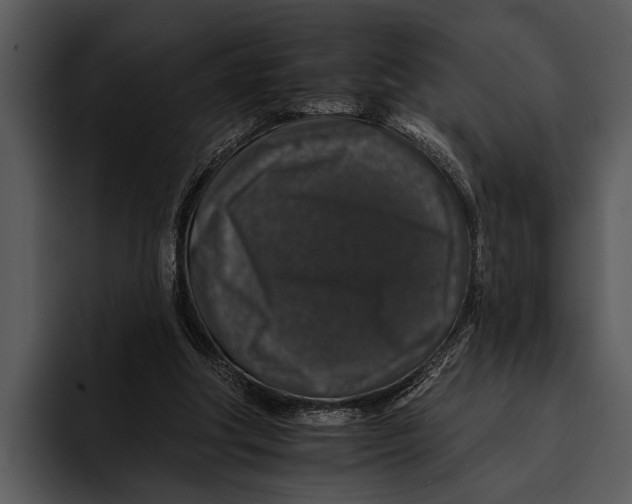 X0000095670202200801291143