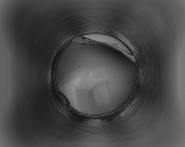 X0000095670203200801291143