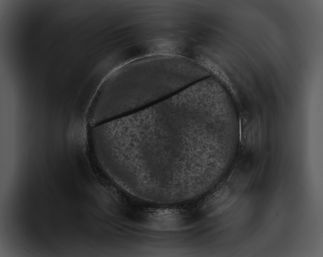 X0000095670204200801291143