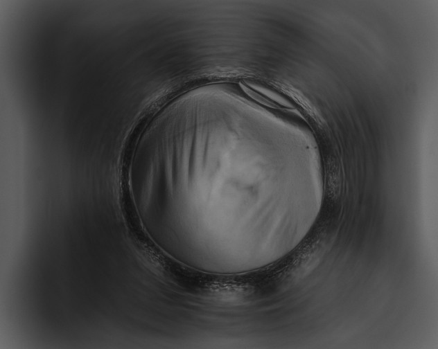 X0000095670207200801291143