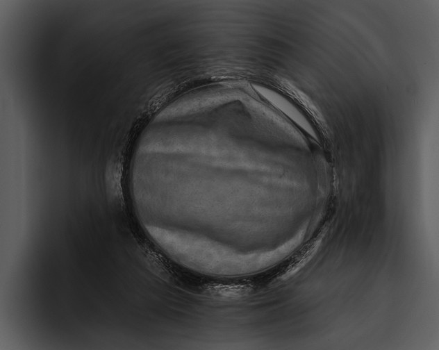 X0000095670209200801291143