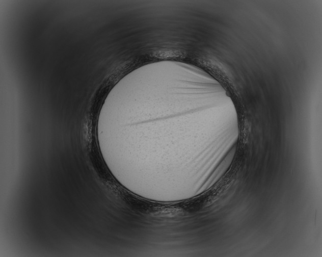 X0000095670210200801291143