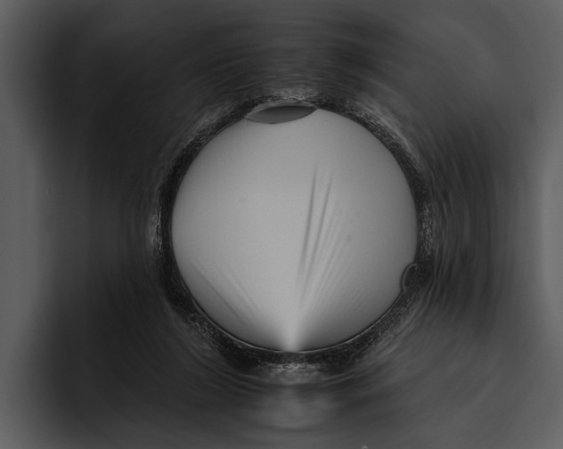 X0000095670212200801291143