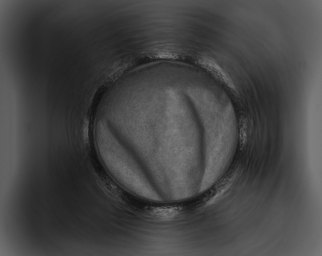 X0000095670213200801291143