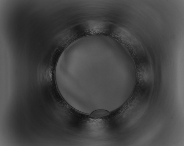 X0000095670214200801291143