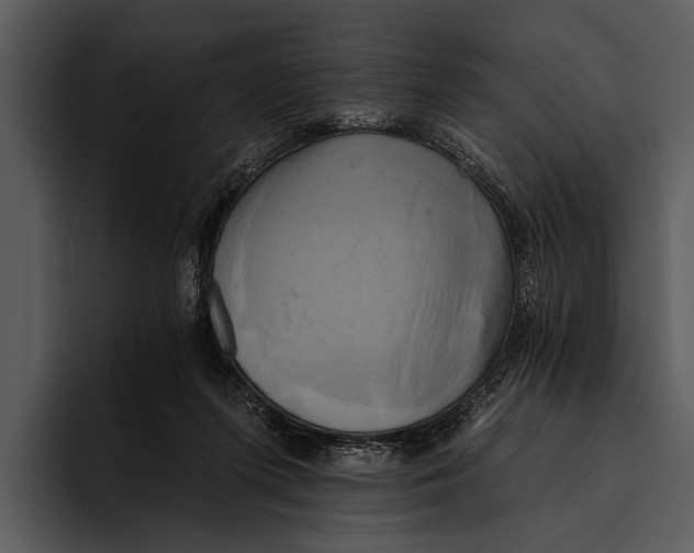 X0000095670215200801291143