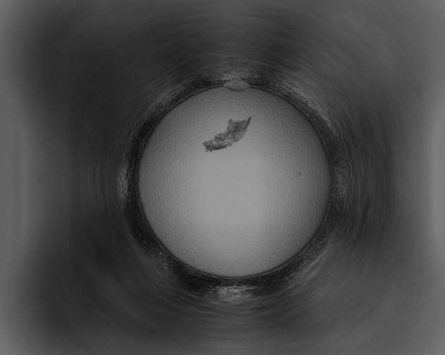 X0000095670216200801291143