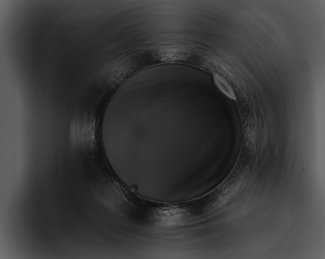 X0000095670219200801291143