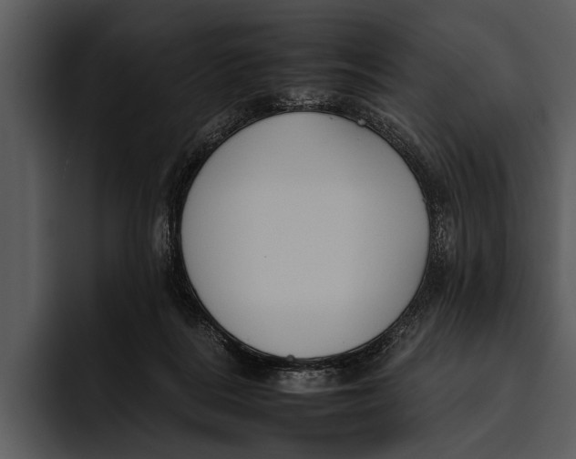 X0000095670220200801291143