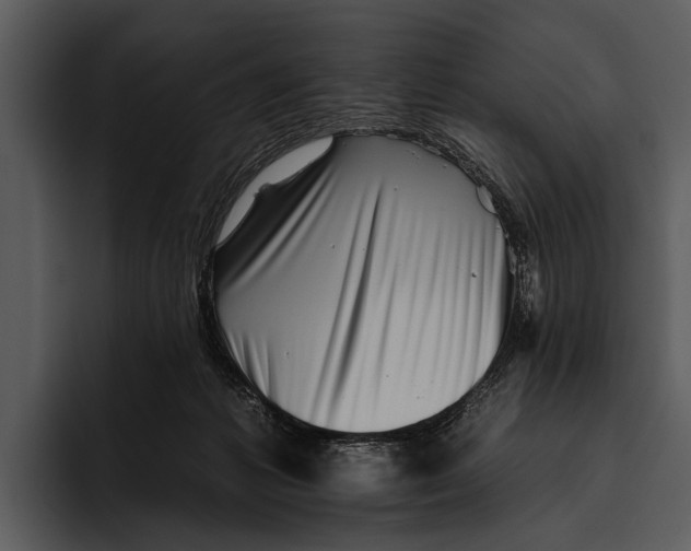 X0000095670221200801291143