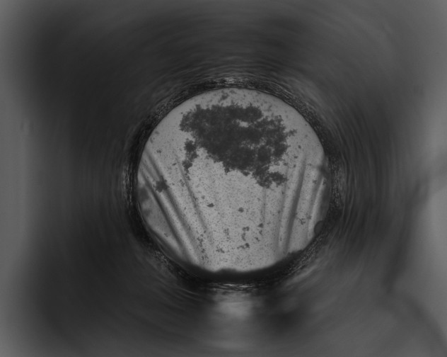 X0000095670222200801291143