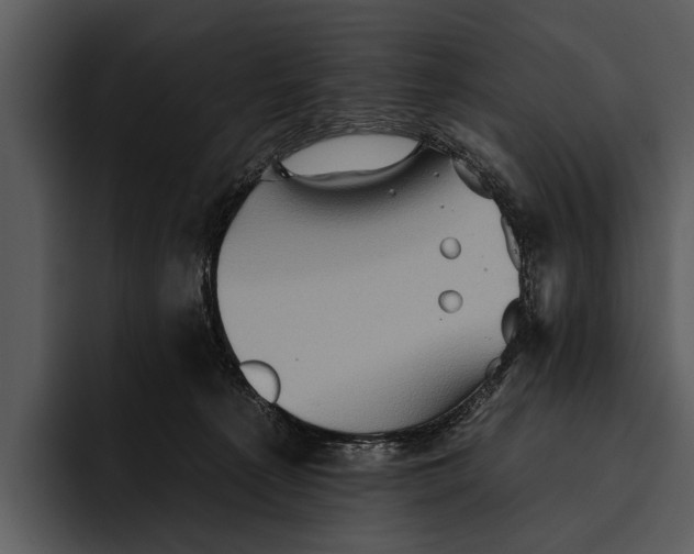 X0000095670225200801291143