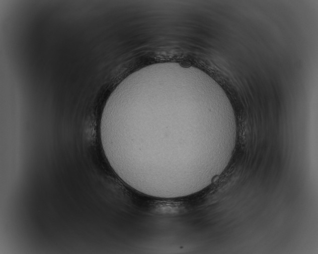 X0000095670226200801291143