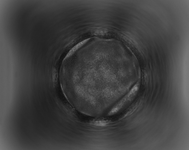 X0000095670228200801291143