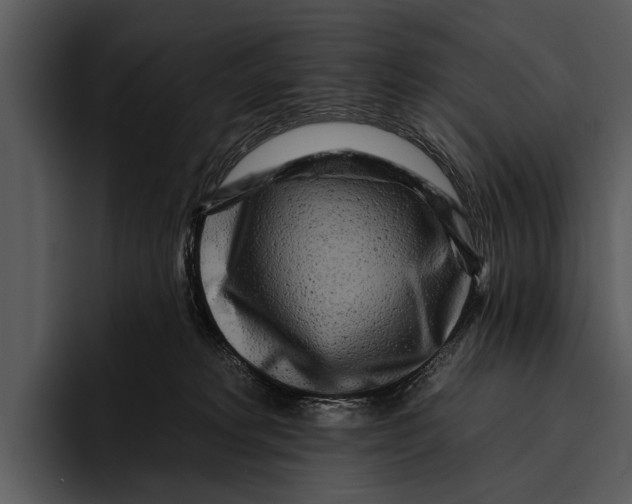 X0000095670229200801291143