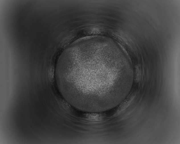 X0000095670230200801291143