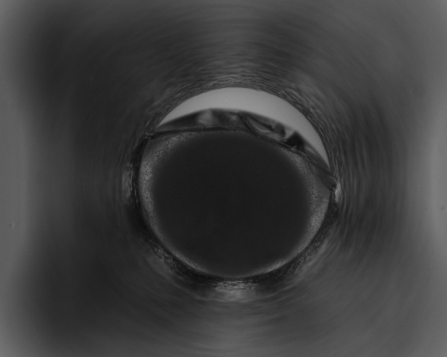 X0000095670231200801291143