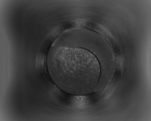 X0000095670233200801291143