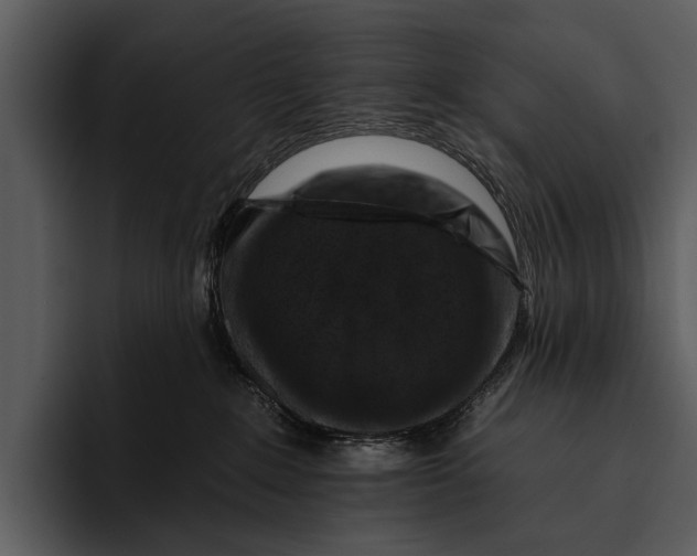 X0000095670235200801291143