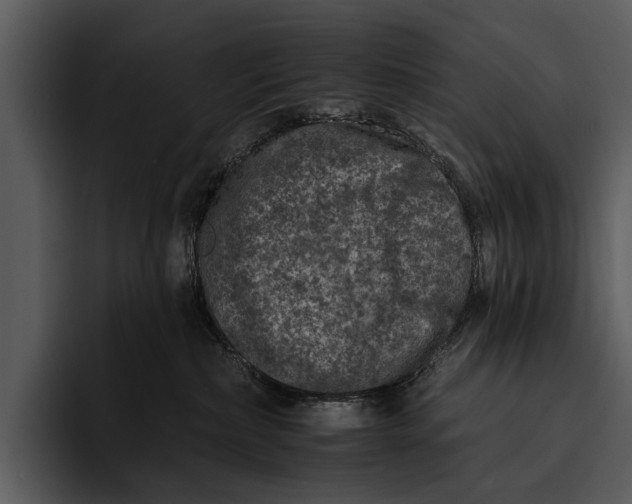 X0000095670236200801291143