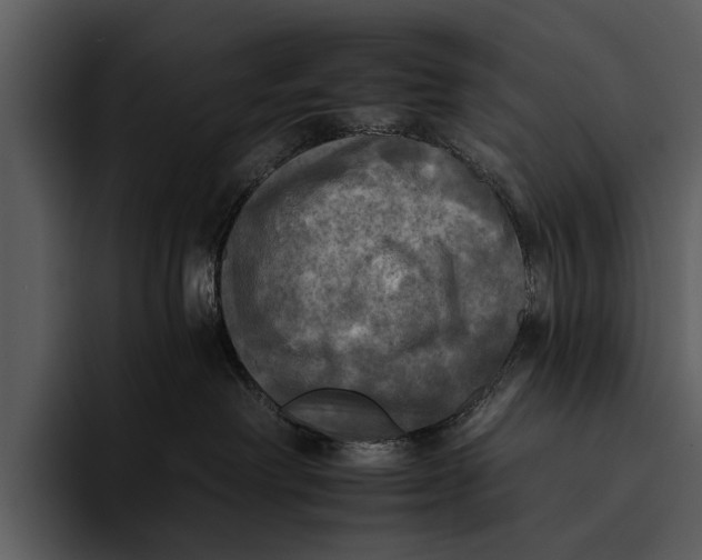 X0000095670238200801291143