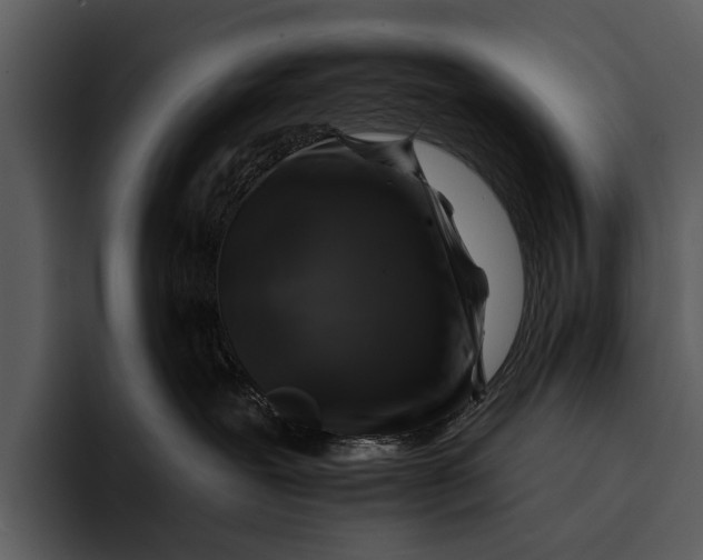 X0000095670239200801291143