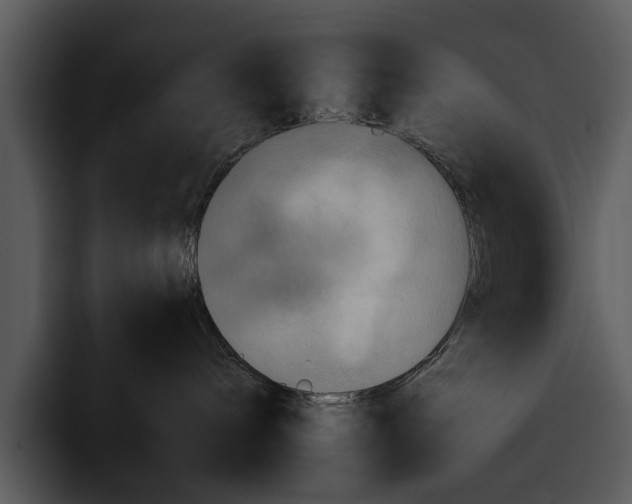 X0000095670240200801291143