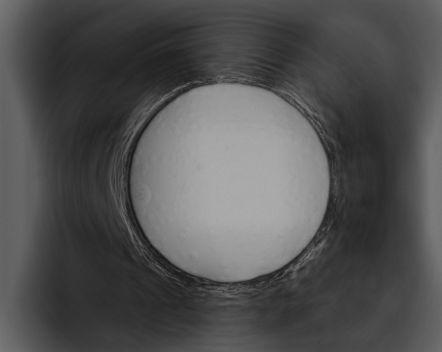 X0000095670241200801291142