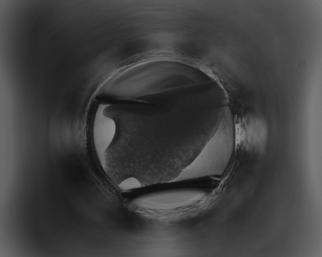 X0000095670243200801291142