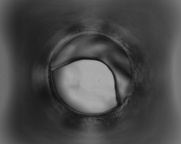 X0000095670244200801291142