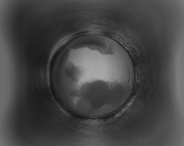 X0000095670245200801291142