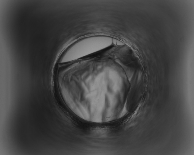 X0000095670248200801291142