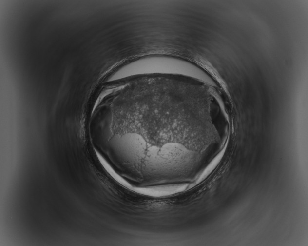 X0000095670249200801291142