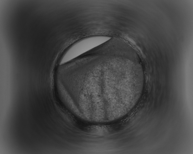 X0000095670250200801291142