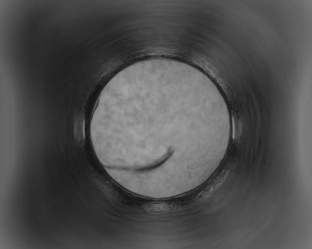 X0000095670253200801291142