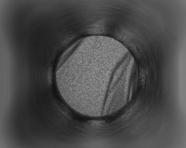 X0000095670255200801291142