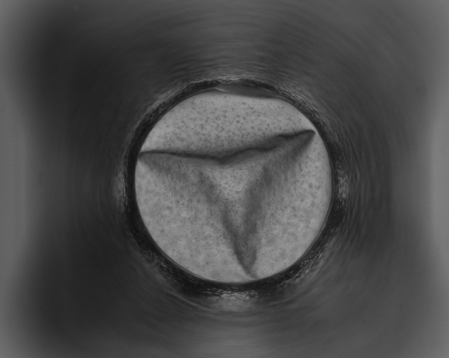 X0000095670256200801291143