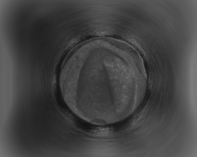 X0000095670260200801291143