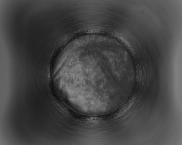 X0000095670261200801291143