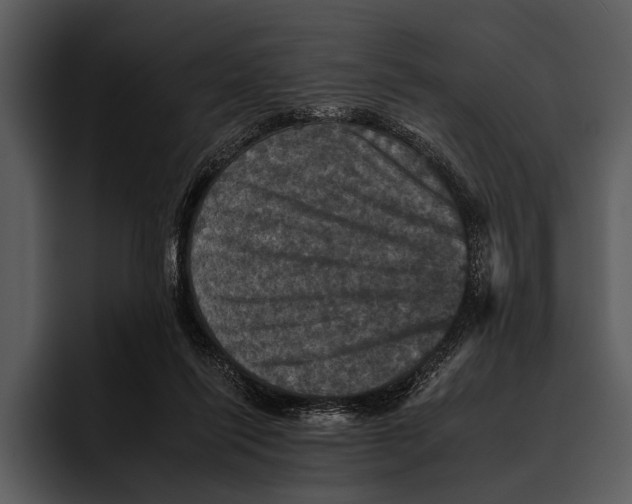 X0000095670262200801291143