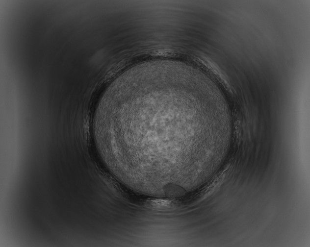 X0000095670265200801291143