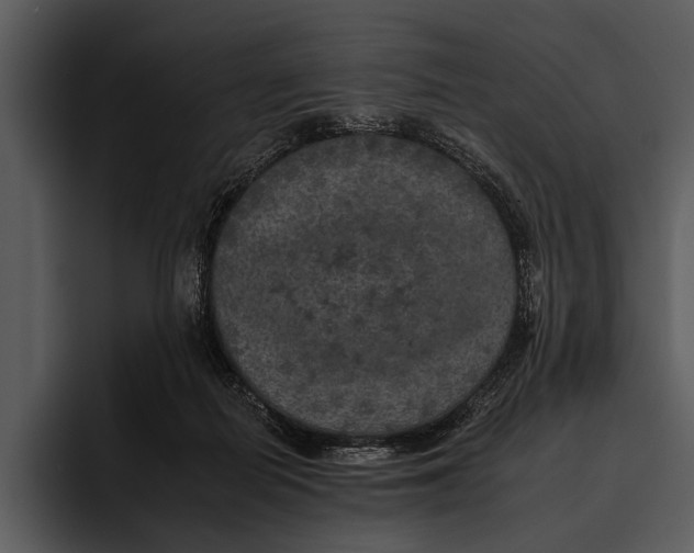 X0000095670266200801291143