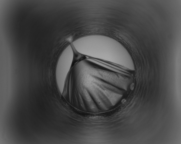 X0000095670268200801291143