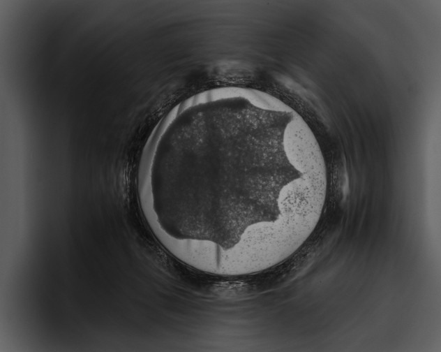 X0000095670271200801291143