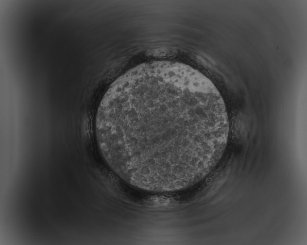 X0000095670272200801291143