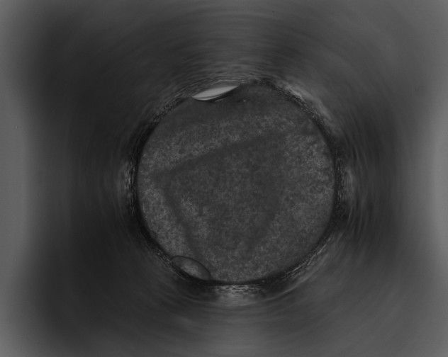 X0000095670273200801291143