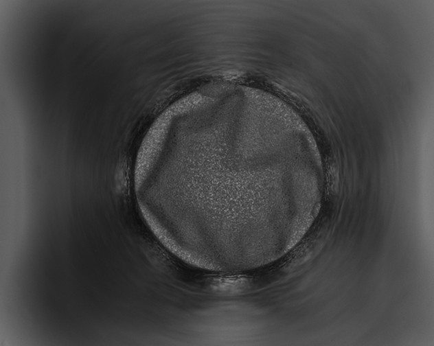 X0000095670274200801291143