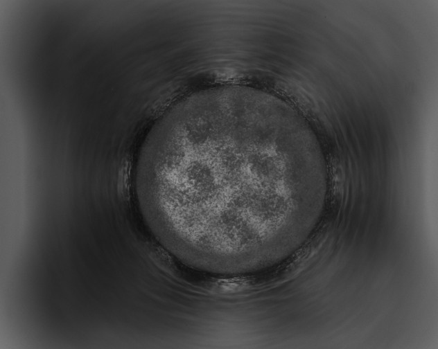 X0000095670275200801291143