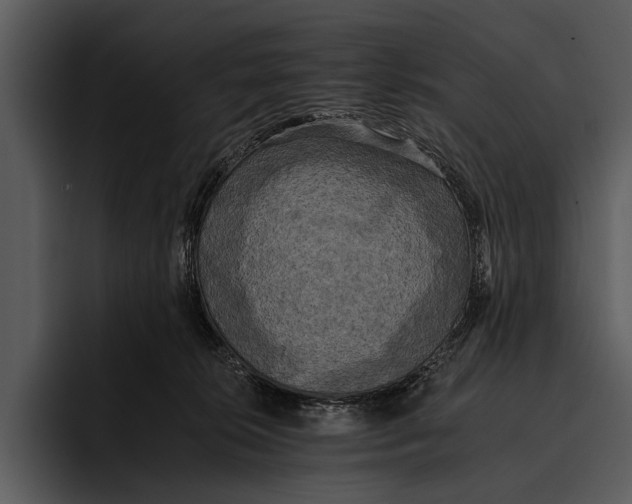 X0000095670276200801291143