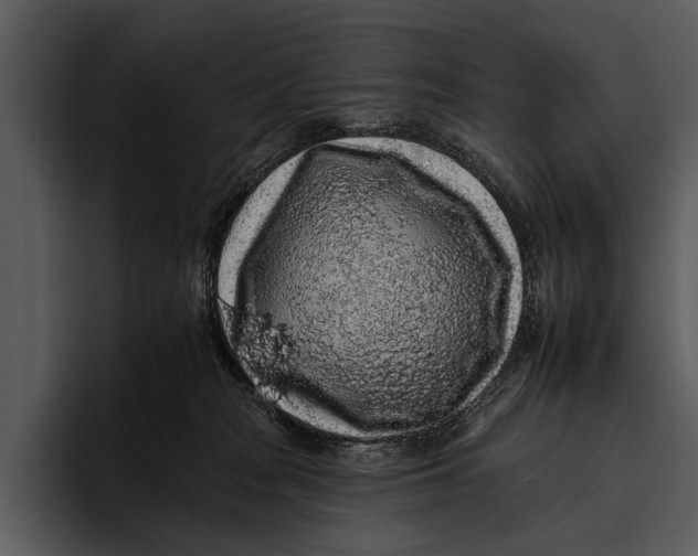 X0000095670277200801291143